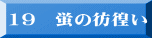 19　蛍の彷徨い